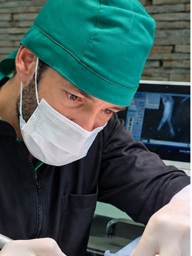 Murilo Pires, dentista veterinário, durante um procedimento odontológico